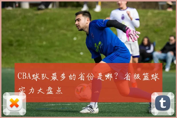 CBA球队最多的省份是哪？省级篮球实力大盘点